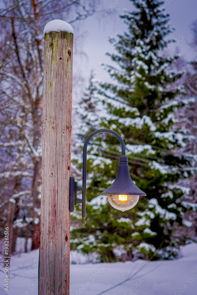 Outdoor view of light posts close to pine forest covered with snow in Norway Outdoor view of light posts close to pine forest covered with snow in Norway