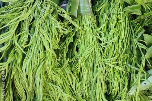 Acacia pennata at market photo