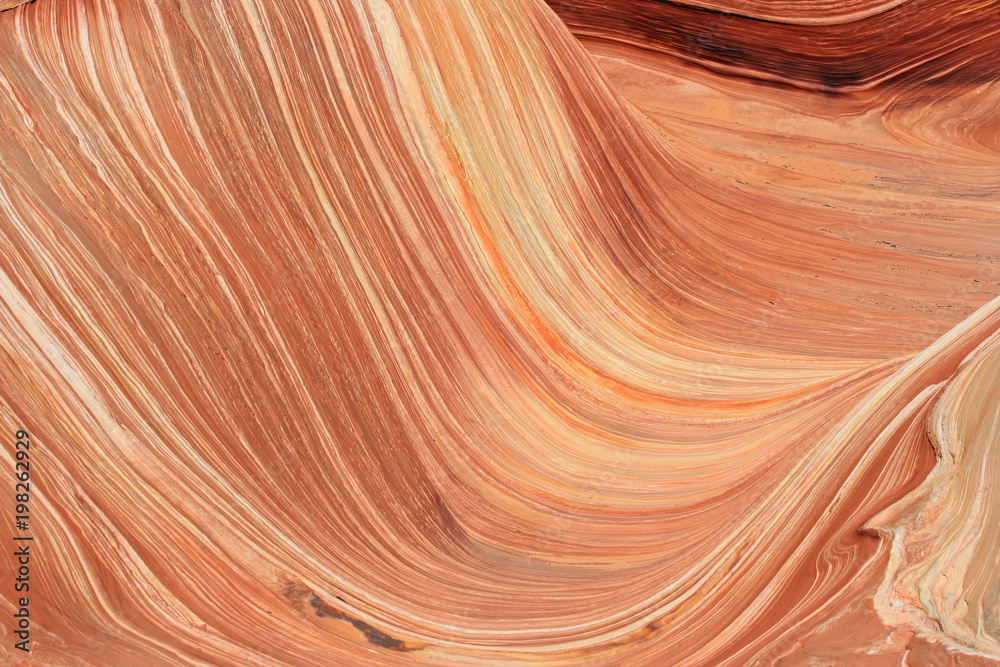 The Wave - Coyote Butte North, Arizona The Wave - Coyote Butte North, Arizona