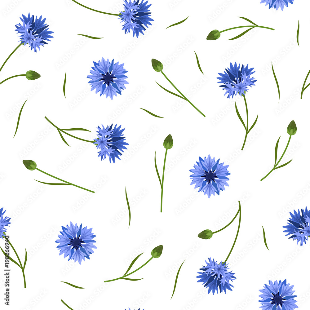 Seamless floral pattern with blue corn flowers on white background Seamless floral pattern with blue corn flowers on white background