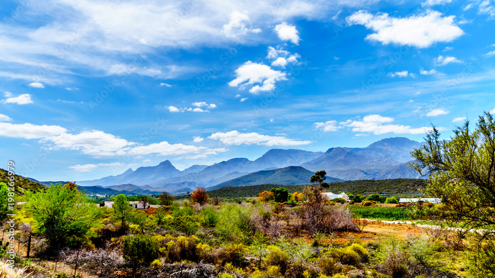The Little Karoo region of the Western Cape Province of South Africa with the majestic Grootswartberg Mountains on the horizon