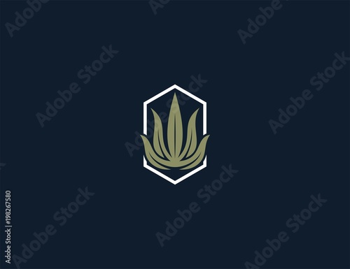 luxury cannabis logo design template.