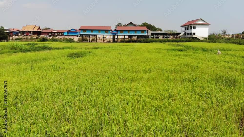 Traditional school in rice fields in Cambodia Traditional school in rice fields in Cambodia