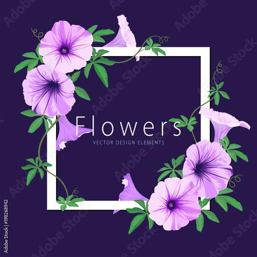 Floral frame with morning glory flowers and leaf on blue background. Vector set of blooming floral for wedding invitations and greeting card design.