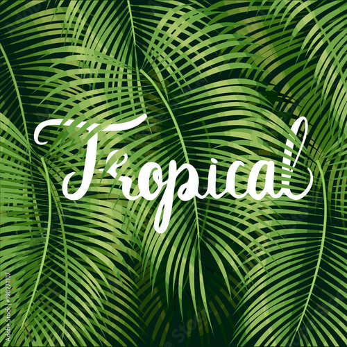 Beautiful floral tropical
