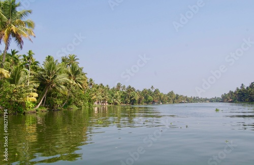 Beautiful & scenic backwaters in rural Kerala (India) with tropical palm trees, untouched nature and a waterway leading to Kochi & Alleppey on a sunny summer day with a clear blue sky