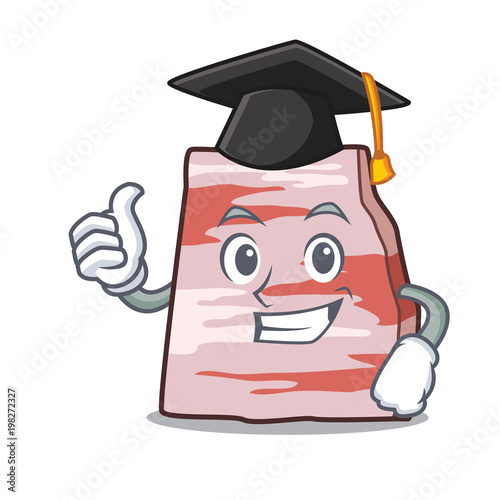 Graduation pork lard character cartoon