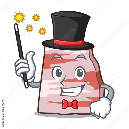 Magician pork lard mascot cartoon