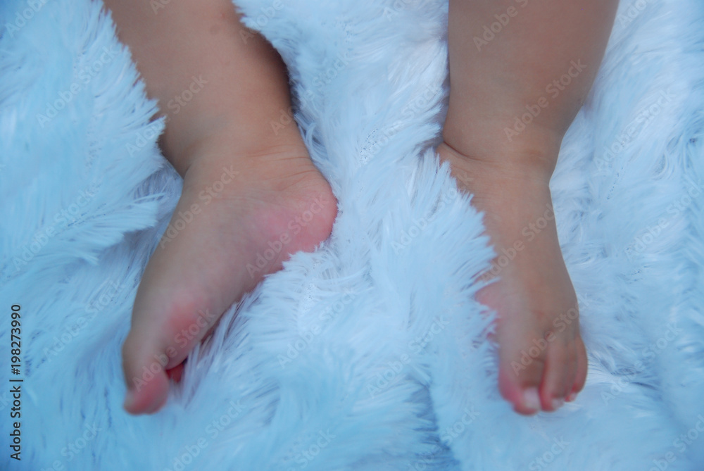 baby's legs on white background baby's legs on white background