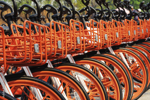 Row of orange bicycles photo