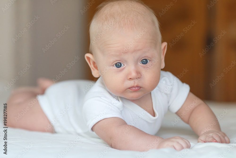 Bright portrait of a sweet little 4 months old newborn baby boy
Bright portrait of a sweet little 4 months old newborn baby boy