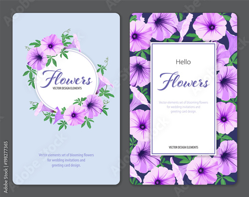 Beautiful morning glory flowers and leaf on blue background template. Vector set of blooming floral for wedding invitations and greeting card design.