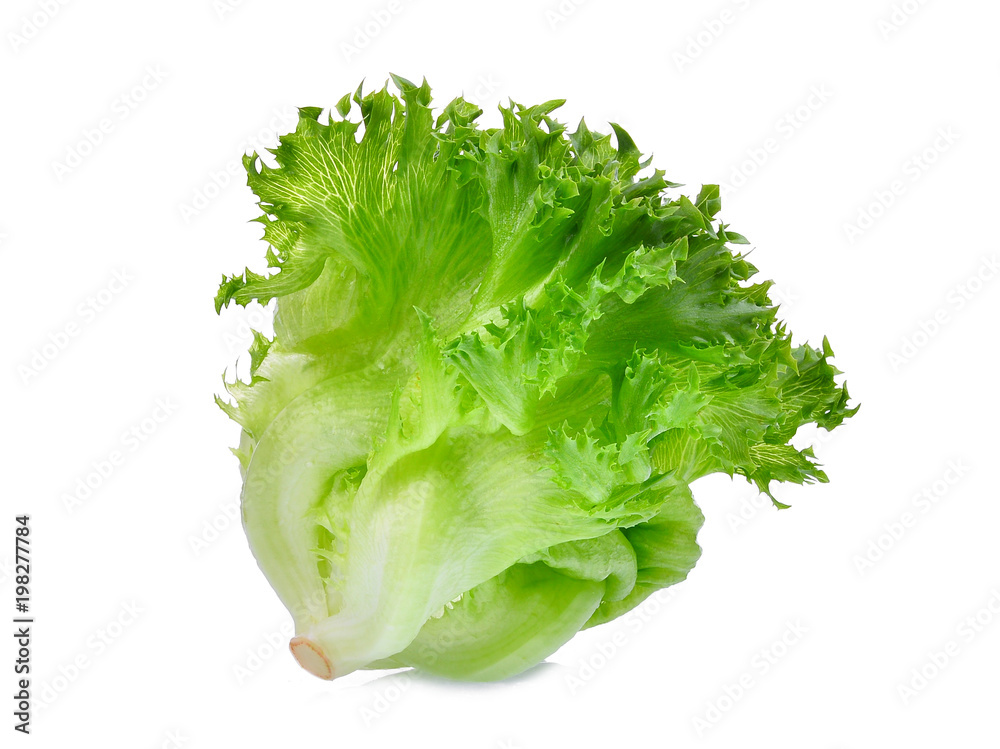 green frillice iceberg lettuce isolated on white background green frillice iceberg lettuce isolated on white background