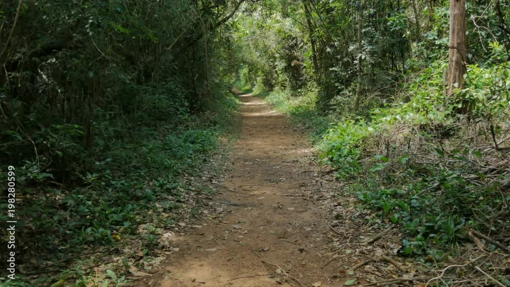 Sendero Macuco in the Iguazu National Park in Argentina. This is one of trails you can do around the park. Sendero Macuco in the Iguazu National Park in Argentina. This is one of trails you can do around the park.