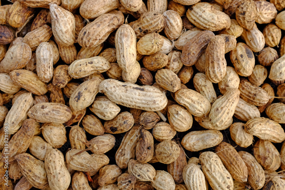 peanut texture background.