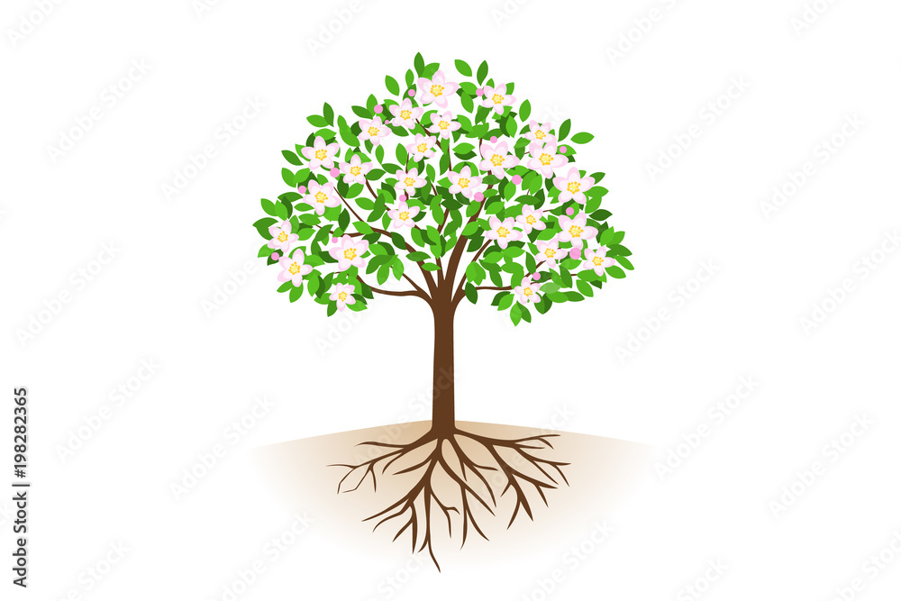 花が咲いた根っこ付きの木 Stock ベクター Adobe Stock