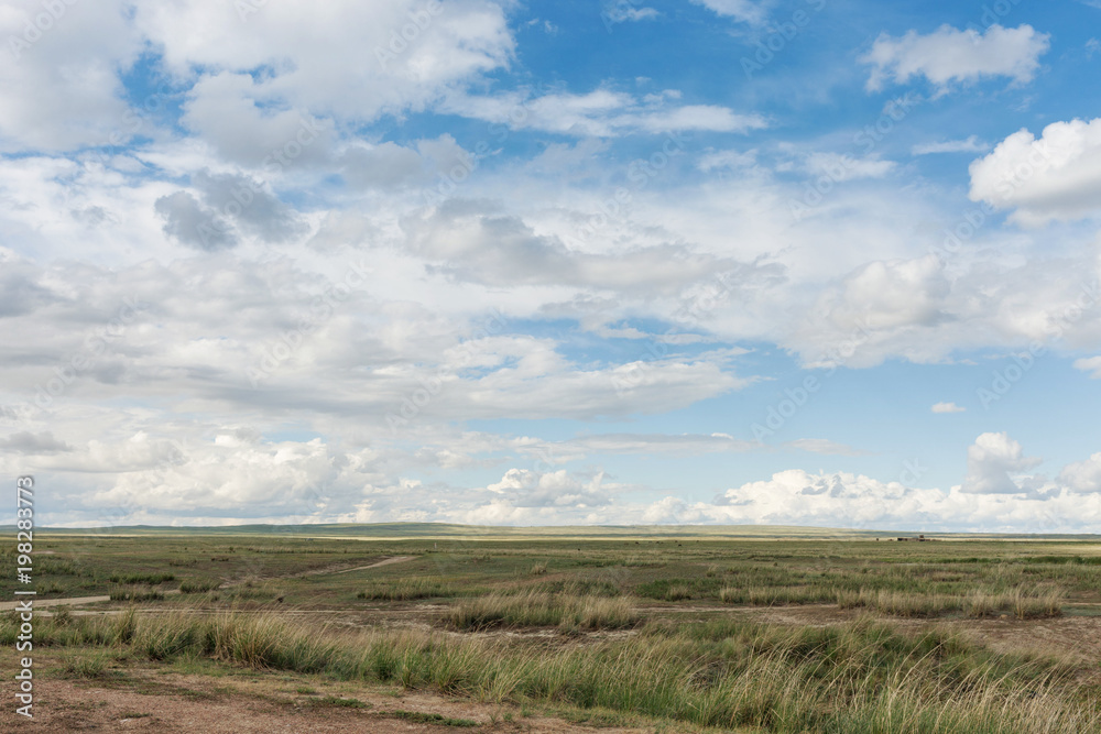 Landscape. Plain. Tyva. Steppe. Sunny summer day. Outdoors