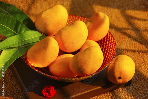 A decorative bowl full with fresh Alphonso mangoes, mango leaves, top view photo