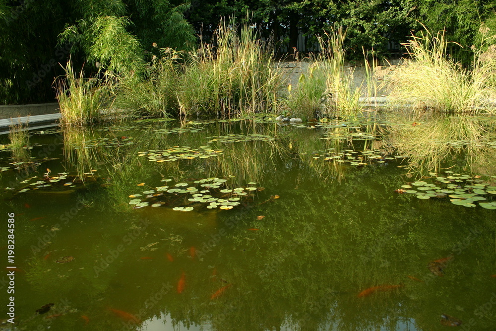 Obraz premium Ukraine. The south coast of Crimea. Yalta. Embankment. Nikitsky Botanical Garden. Autumn
