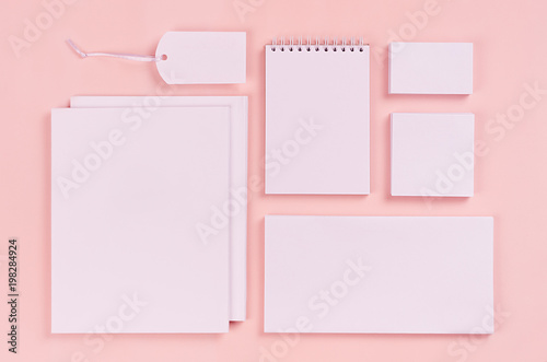 Corporate identity template, white stationery set with blank bussines cards, labels, stickers, notepad, envelops, broshures on pastel pink stylish background.