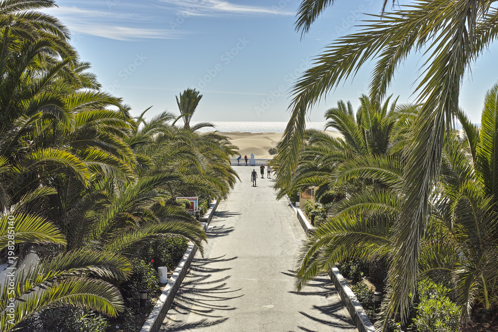 The Way to The Dunes Maspalomas Gran Canaria