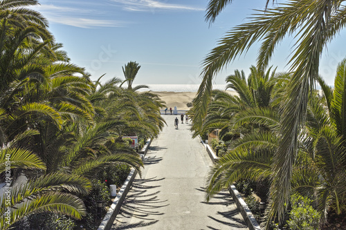 The Way to The Dunes Maspalomas Gran Canaria