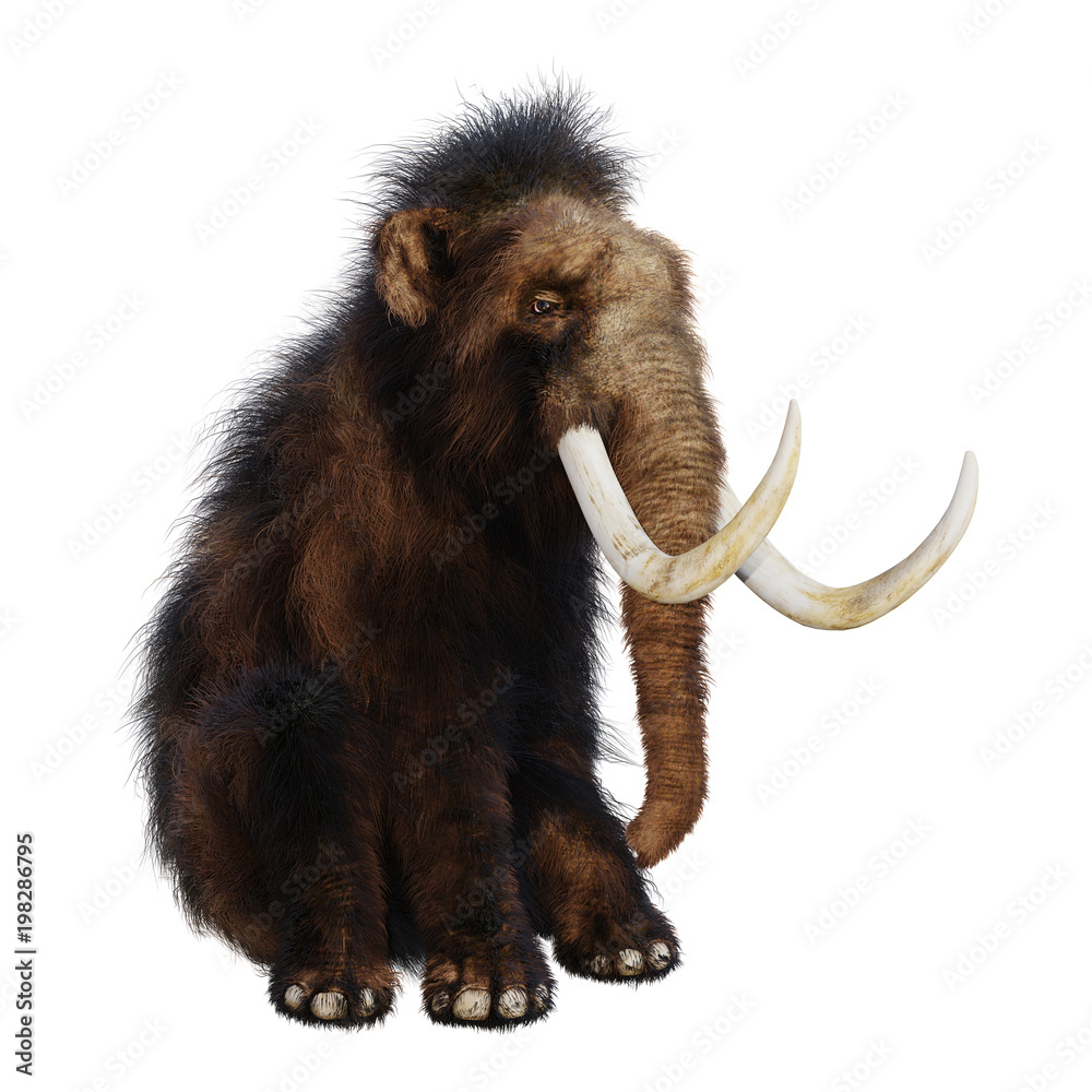 Fototapeta premium 3D Rendering Woolly Mammoth on White