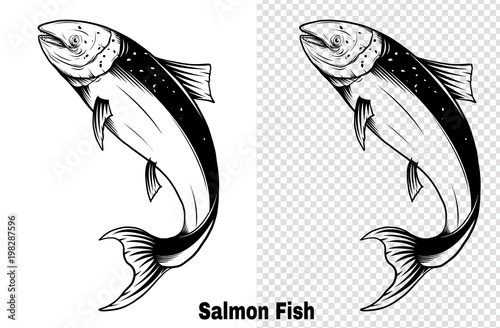 Salmon art highly detailed in line art style.Fish vector by hand drawing.Fish tattoo on white background.Black and white fish vector on white background.Salmon fish sketch for coloring book.