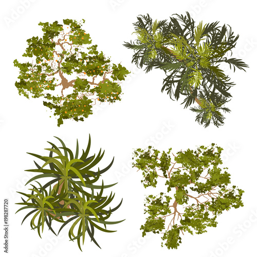 Trees top view for landscape vector illustration.