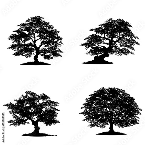 Collection tree silhouette isolated on white background.