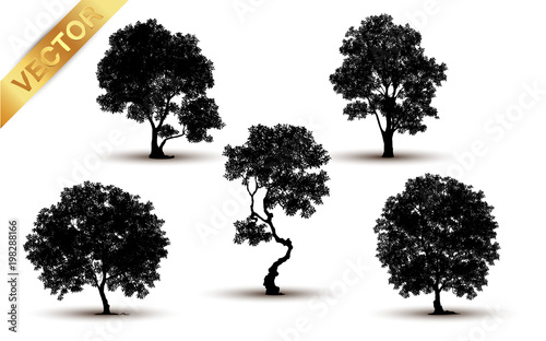 Collection tree silhouette isolated on white background.