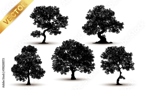 Collection tree silhouette isolated on white background.