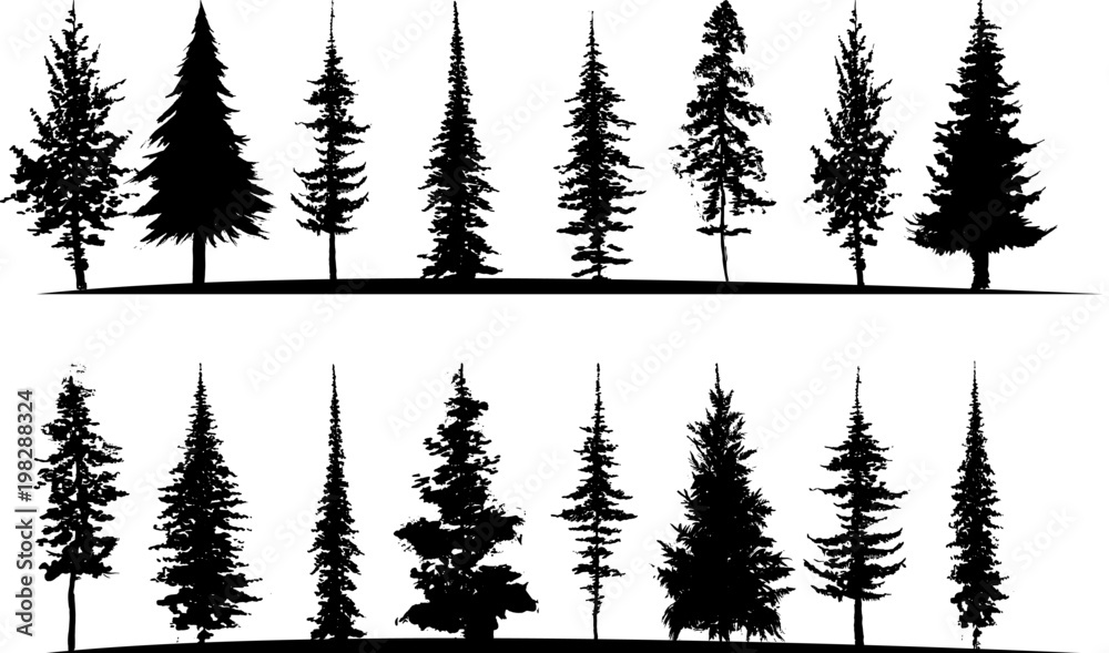Collection tree silhouette isolated on white background.