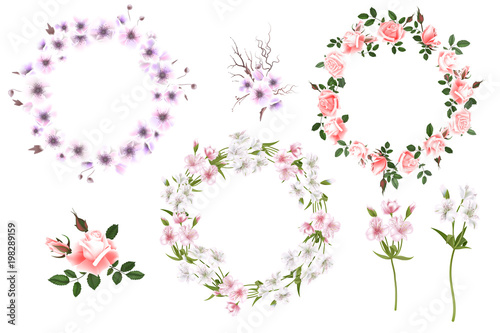 Fototapeta Naklejka Na Ścianę i Meble -  Vector round frame of Alstroemeria