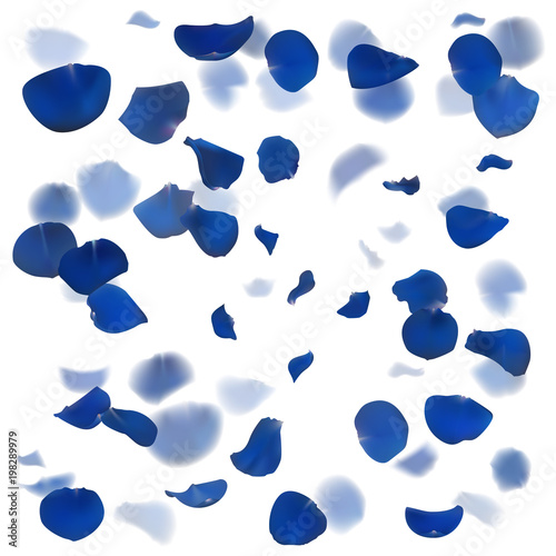 Blue rose leaves fall down. Luxury romantic card. Floral background vector illustration.