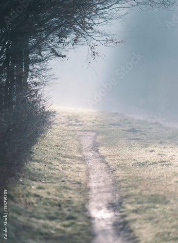 Hiking path in foggy winter countryside.