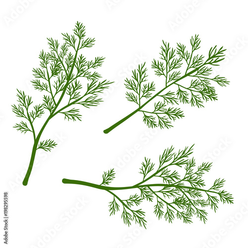 Fresh dill. Green vegetables. Cartoon green dill close-up. Vector illustration.