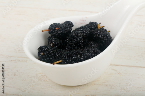 Black Mulberry
