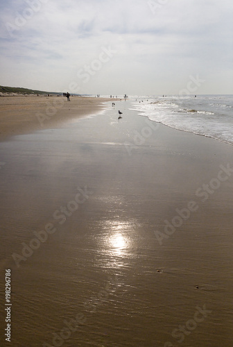 Fototapeta Naklejka Na Ścianę i Meble -  People wandering near the shore on a sandy beach at sunset