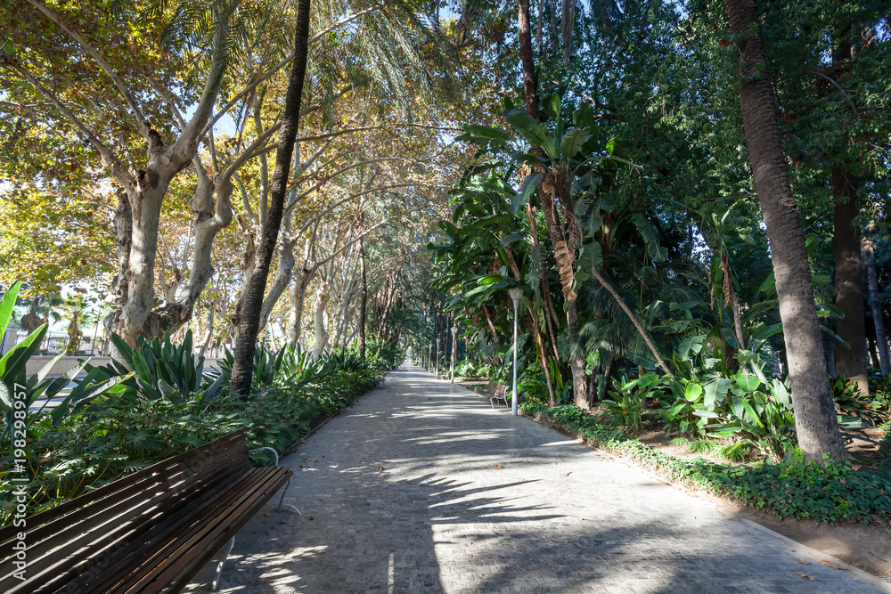 Public park in Malaga center