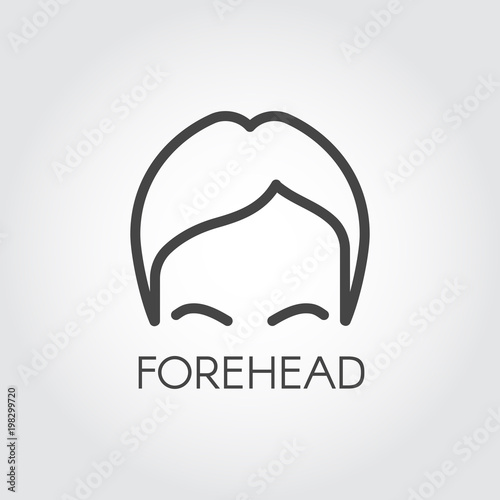 Icon of the human forehead drawing in line style. Skincare, beauty and cosmetology treatment concept label. Graphic web pictograph. Vector illustration