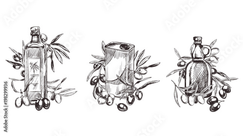 Olive branches, hand drawn retro style vector illustrations. © nurofina