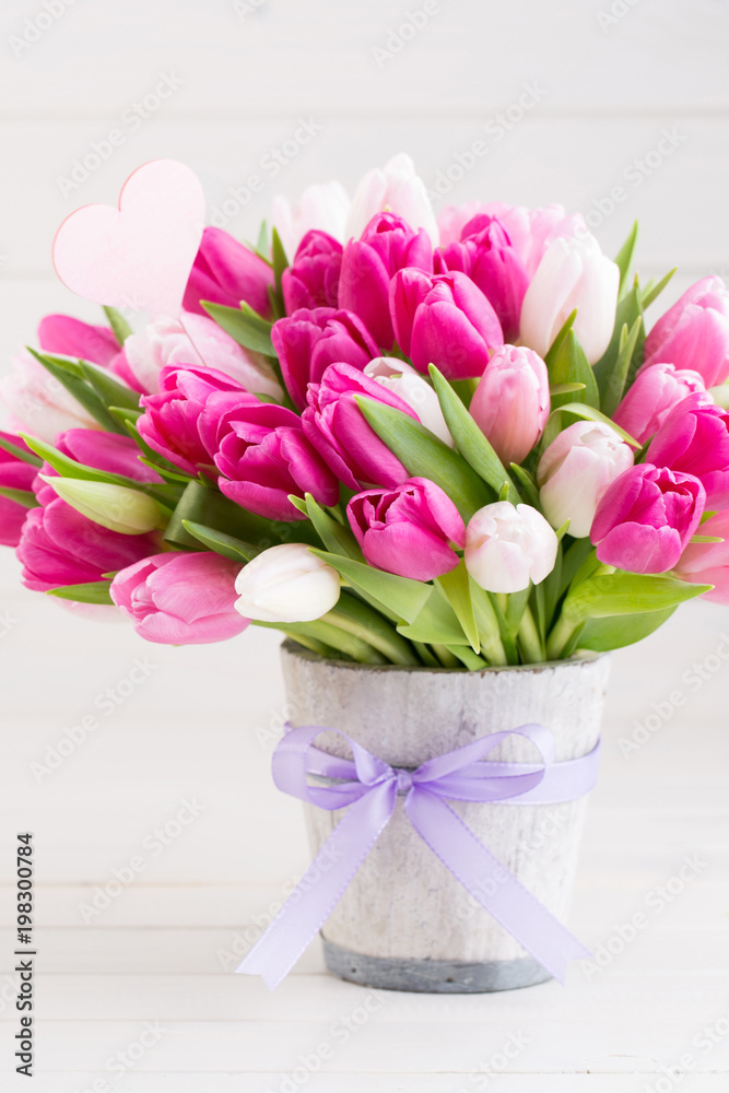 custom made wallpaper toronto digitalPink tulip on the white background. Easter background