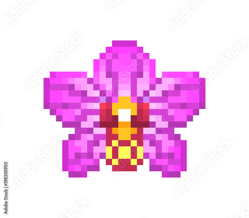 Fototapeta Naklejka Na Ścianę i Meble -  Pink blooming orchid, pixel art icon isolated on white background. Phalaenopsis, exotic tropical flower emblem. Old school 8 bit slot machine symbol. Retro 80s; 90s video game graphics. Beauty logo.