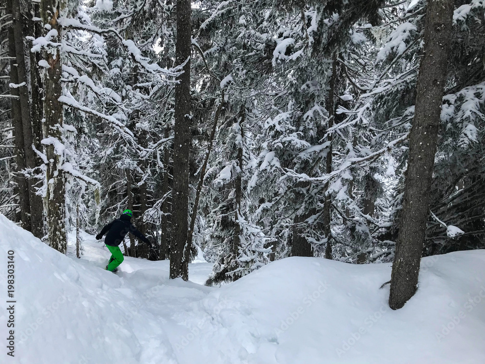Snowboarder Snow Mountain Pine Trees White Winter Cold Austria