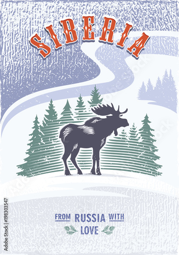 Сибирь, Лось рогатый на фоне елей, Россия, любовь, снегопад, цветной постер, иллюстрация, вектор