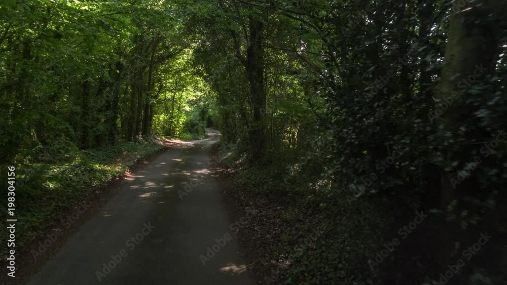 POV shot from a camera attached to the front of a vehicle driving through a tunnel of trees on a country road in england POV shot from a camera attached to the front of a vehicle driving through a tunnel of trees on a country road in england