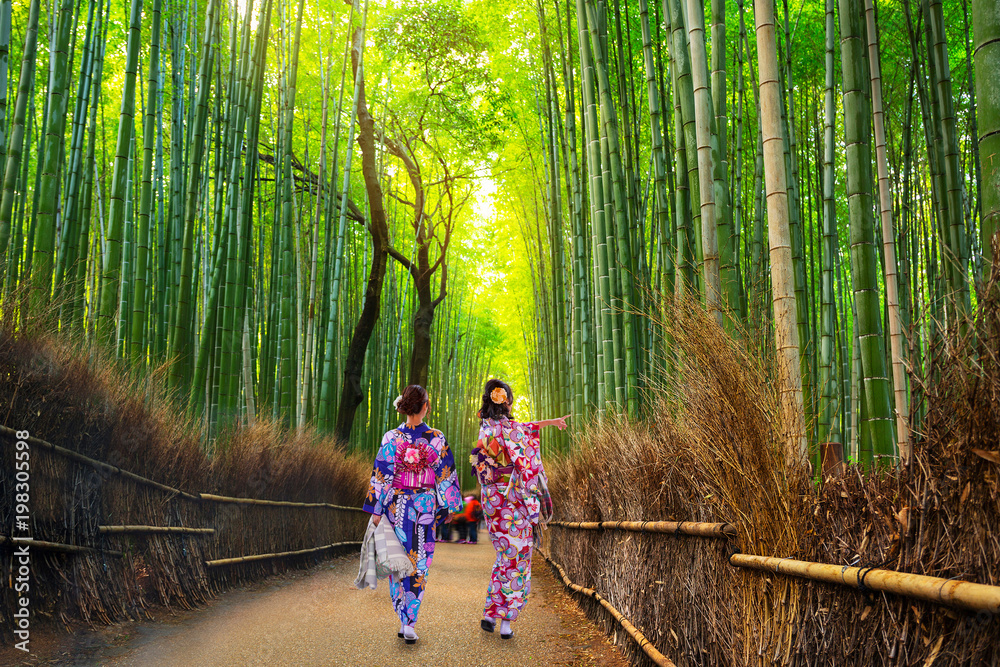 Naklejka premium Bambusowy las Arashiyama niedaleko Kioto w Japonii