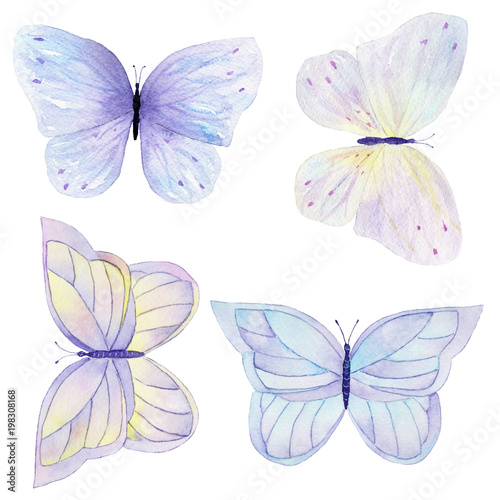Watercolor butterfly set hand drawn painting. Can be used for cards,wedding i...