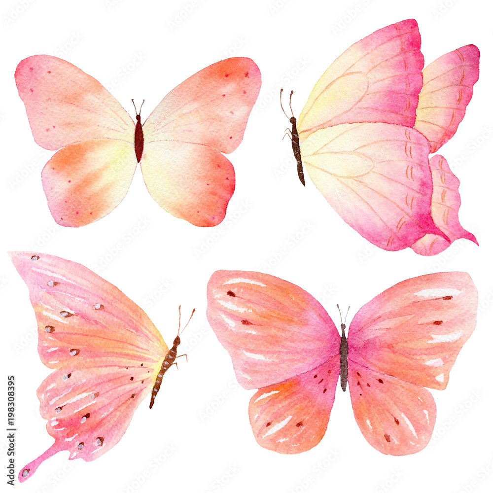 Hand sketch of colored butterfly. Watercolor hand painted collection. Ideal for invitations, cards, wallpapers, printing on fabric.
